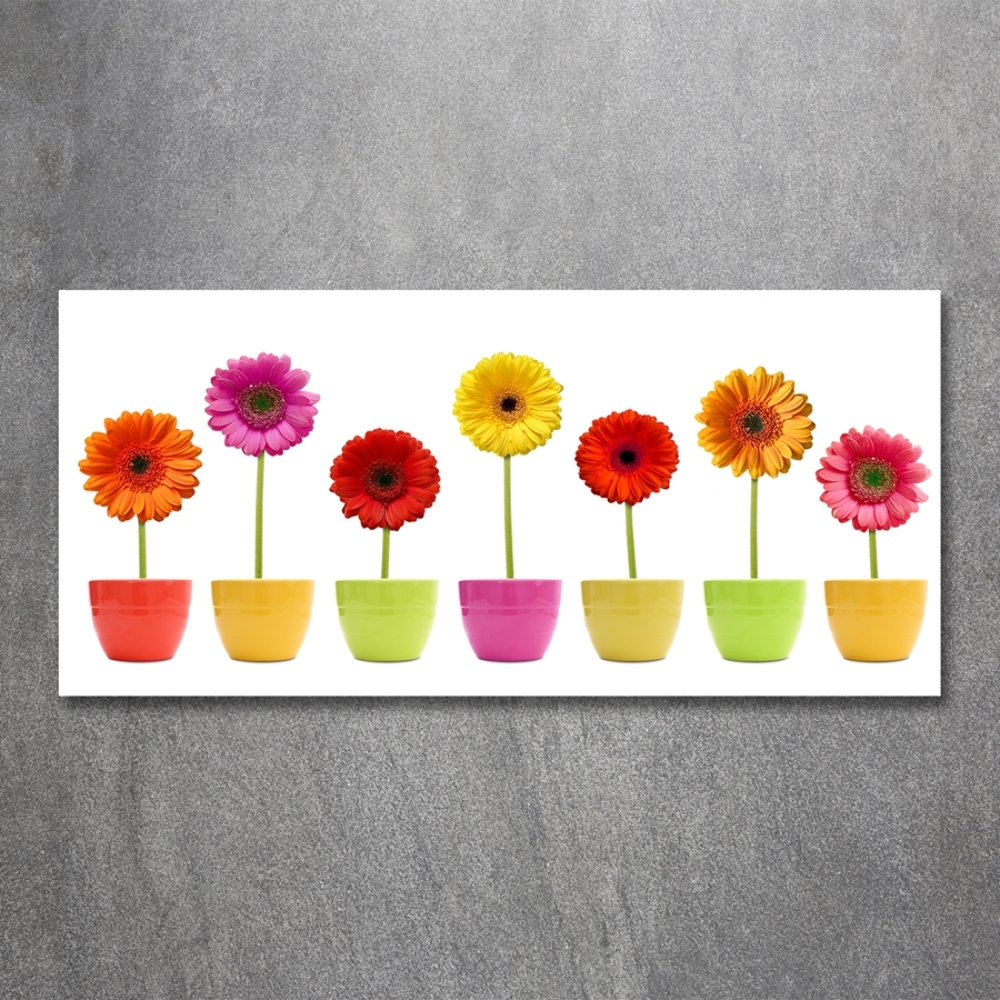 Tableau sur verre Gerberas colorés