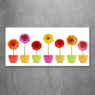 Tableau sur verre Gerberas colorés