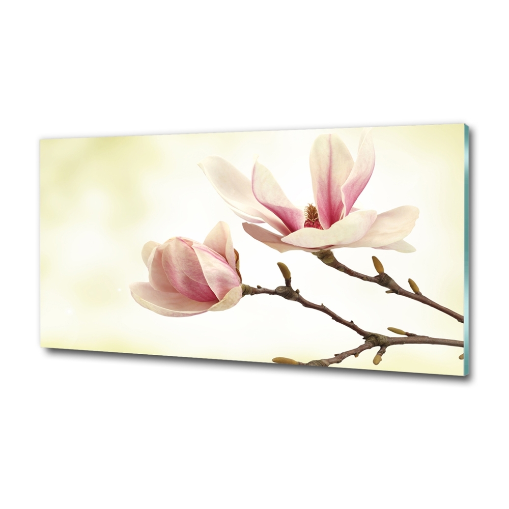 Tableau photo sur verre Magnolia