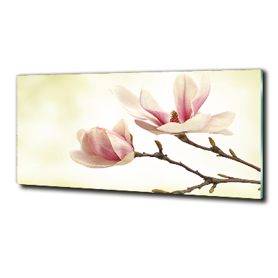 Tableau photo sur verre Magnolia