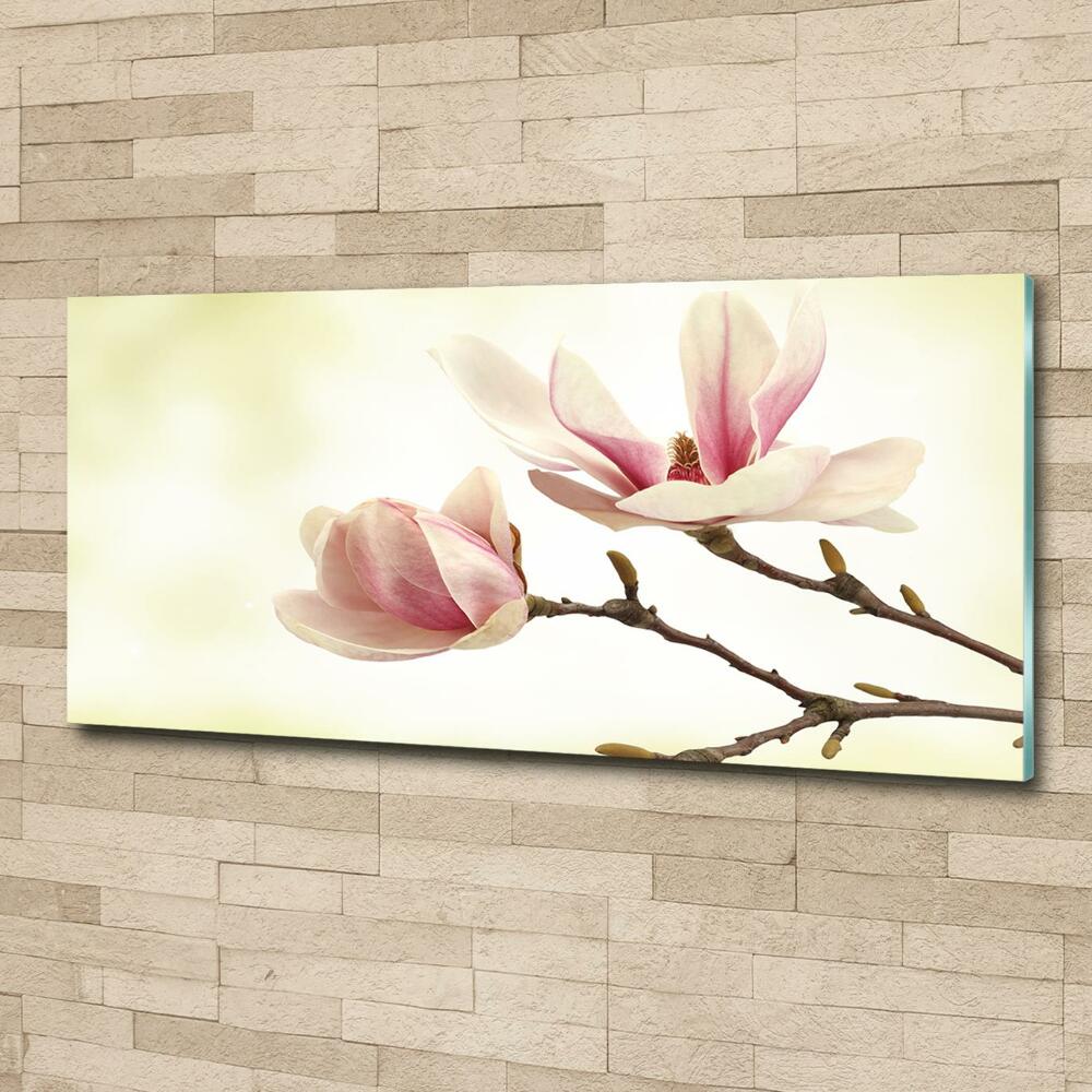 Tableau photo sur verre Magnolia