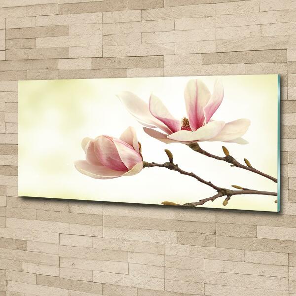 Tableau photo sur verre Magnolia