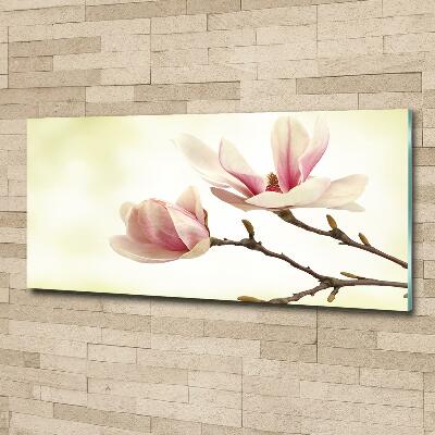 Tableau photo sur verre Magnolia