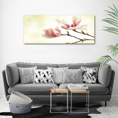 Tableau photo sur verre Magnolia