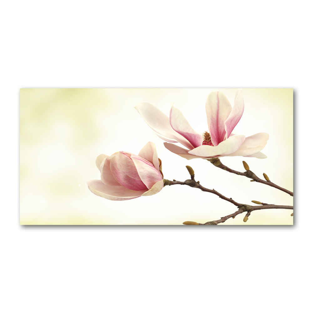 Tableau photo sur verre Magnolia