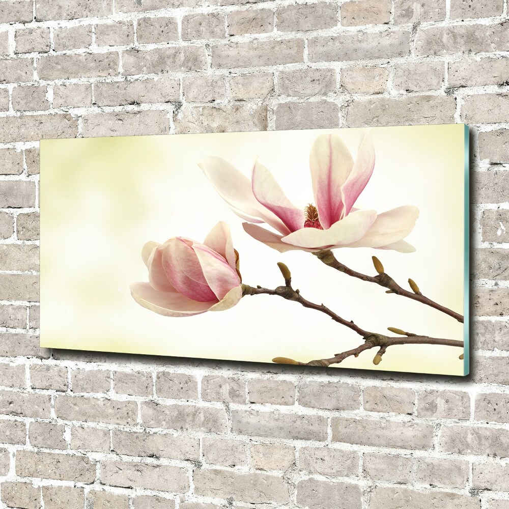 Tableau photo sur verre Magnolia