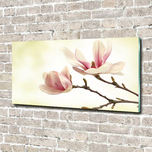 Tableau photo sur verre Magnolia