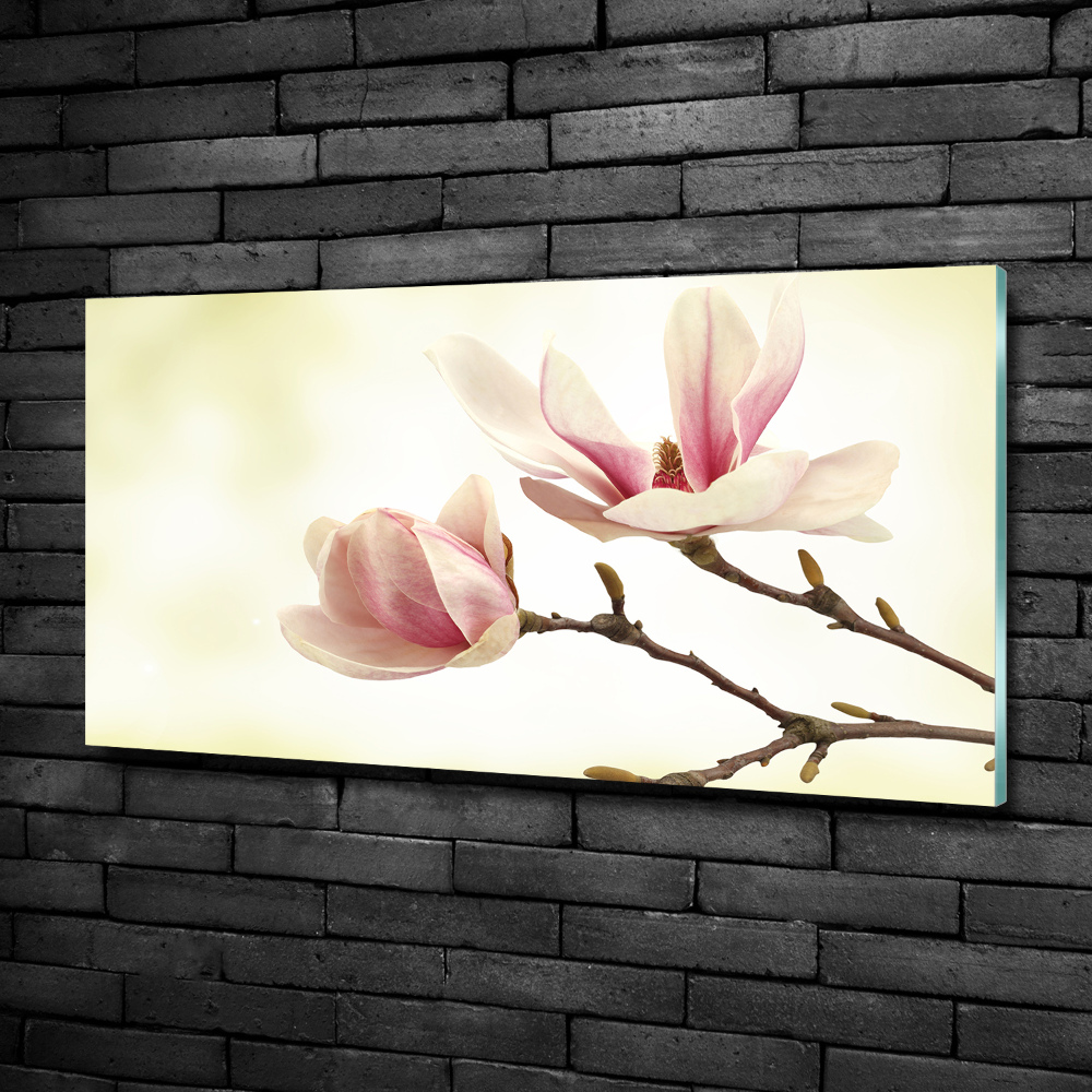 Tableau photo sur verre Magnolia