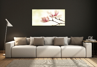 Tableau photo sur verre Magnolia