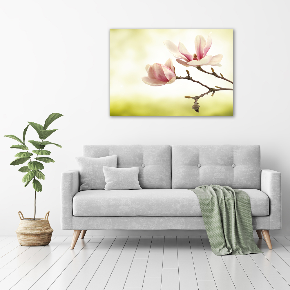 Tableau photo sur verre Magnolia