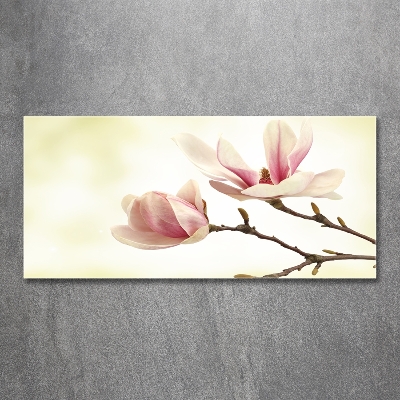 Tableau photo sur verre Magnolia