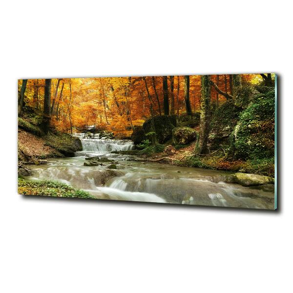 Tableau imprimé sur verre Cascade en forêt