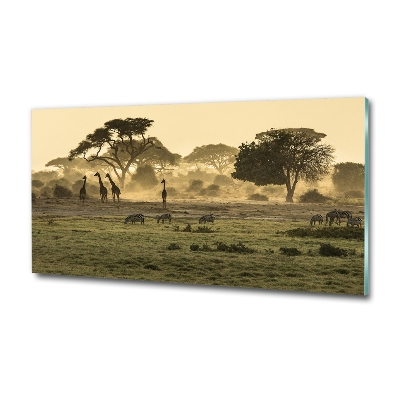 Tableau verre imprimé Girafes dans la savane