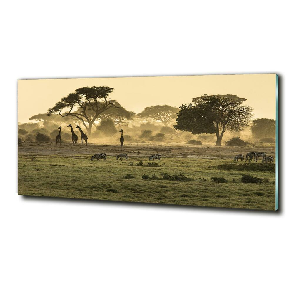 Tableau verre imprimé Girafes dans la savane