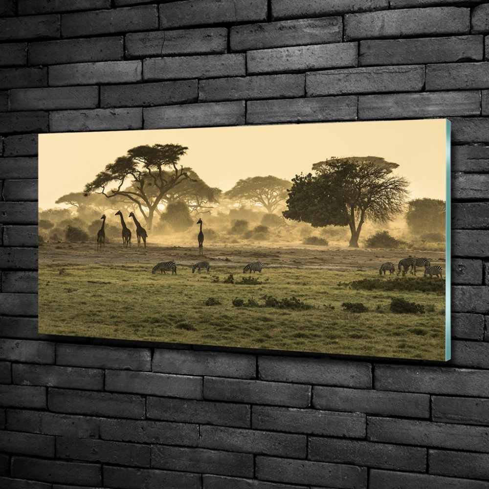 Tableau verre imprimé Girafes dans la savane