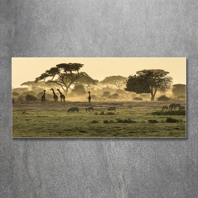 Tableau verre imprimé Girafes dans la savane