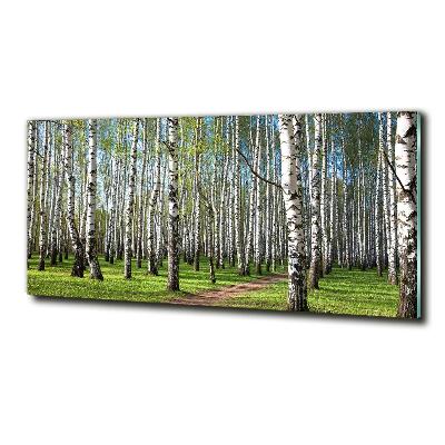 Tableau photo sur verre Forêt de bouleaux