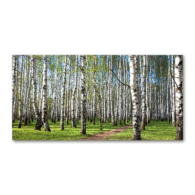 Tableau photo sur verre Forêt de bouleaux