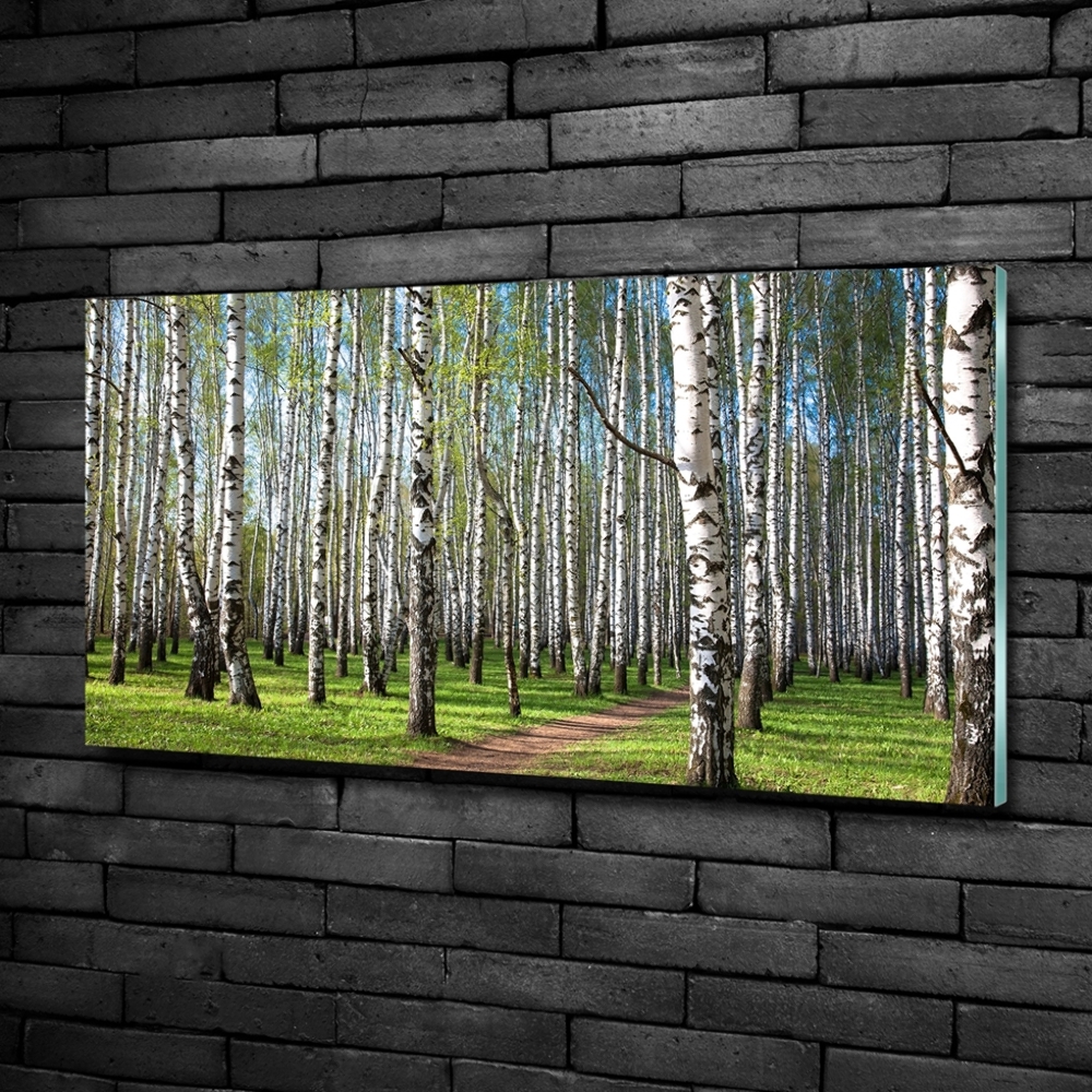 Tableau photo sur verre Forêt de bouleaux