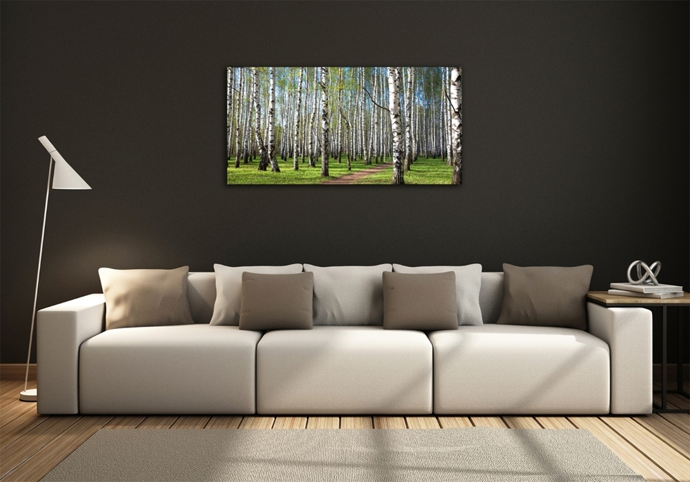 Tableau photo sur verre Forêt de bouleaux