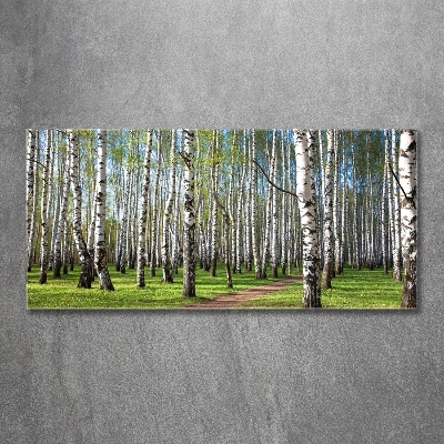 Tableau photo sur verre Forêt de bouleaux