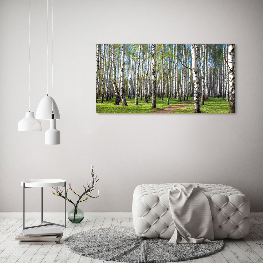 Tableau photo sur verre Forêt de bouleaux