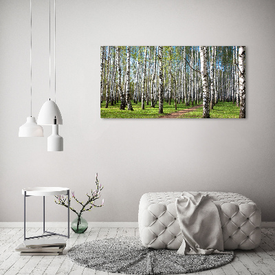 Tableau photo sur verre Forêt de bouleaux