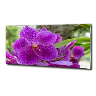 Tableau imprimé sur verre Fleur d'orchidée