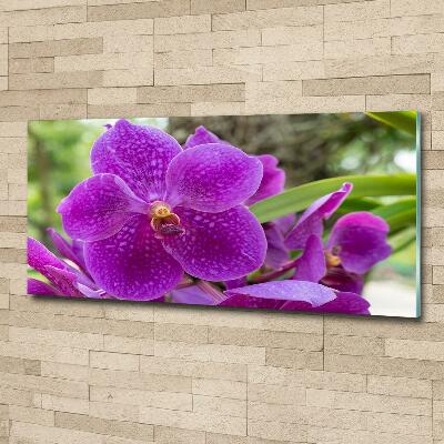 Tableau imprimé sur verre Fleur d'orchidée