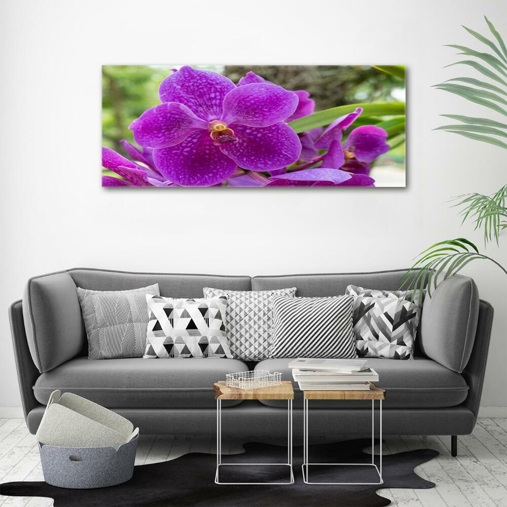 Tableau imprimé sur verre Fleur d'orchidée