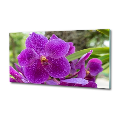 Tableau imprimé sur verre Fleur d'orchidée