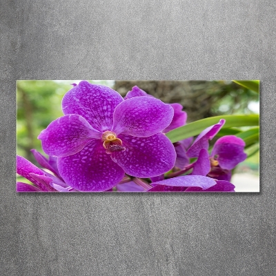 Tableau imprimé sur verre Fleur d'orchidée