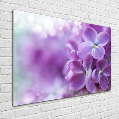 Tableau imprimé sur verre Fleurs de lilas