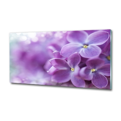 Tableau imprimé sur verre Fleurs de lilas