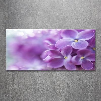 Tableau imprimé sur verre Fleurs de lilas