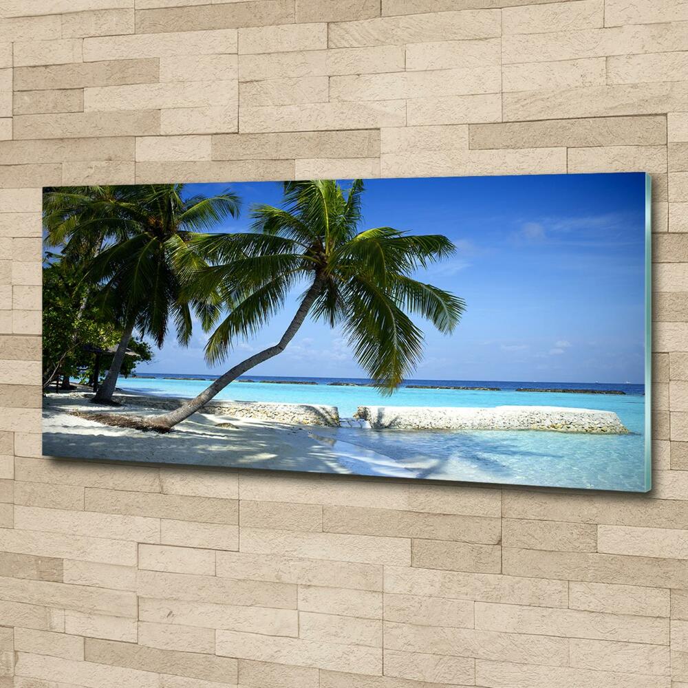 Tableau photo sur verre Plage exotique