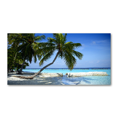 Tableau photo sur verre Plage exotique