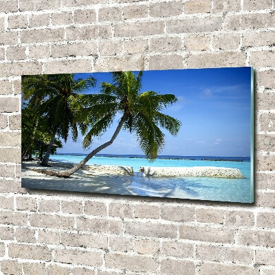 Tableau photo sur verre Plage exotique