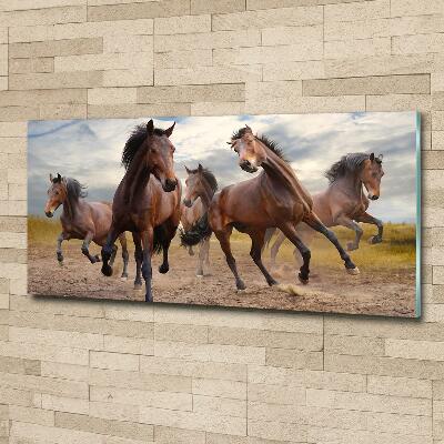 Tableau imprimé sur verre Cinq chevaux