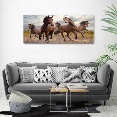 Tableau imprimé sur verre Cinq chevaux