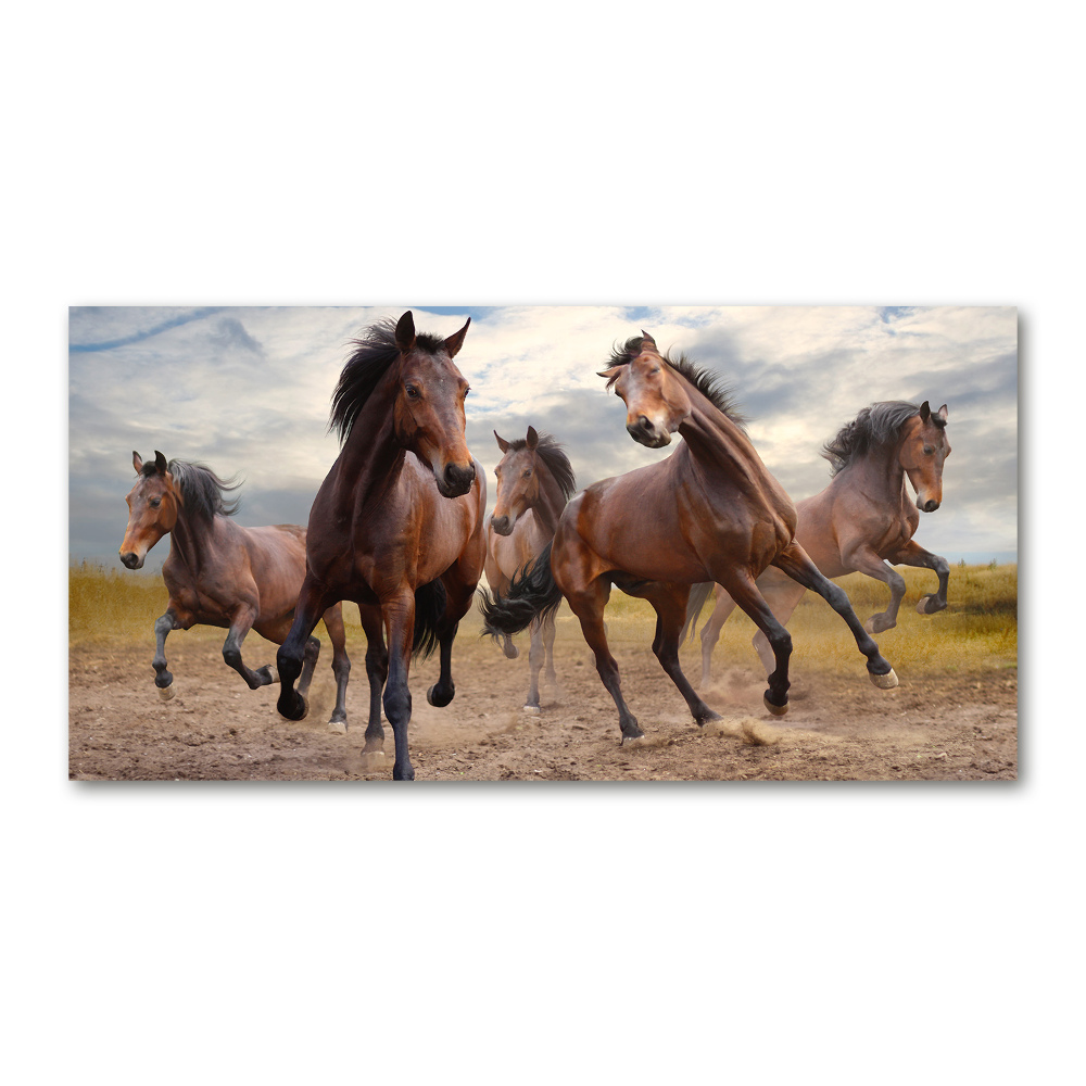 Tableau imprimé sur verre Cinq chevaux