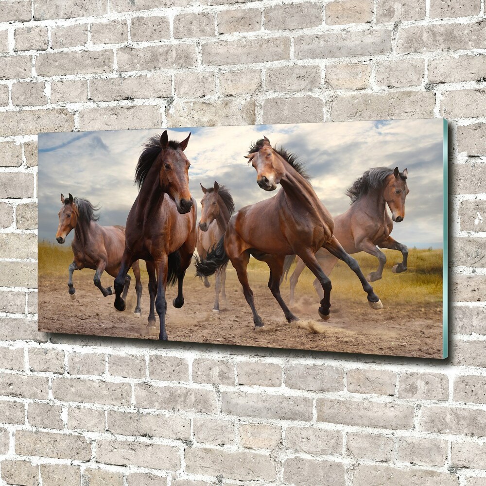 Tableau imprimé sur verre Cinq chevaux