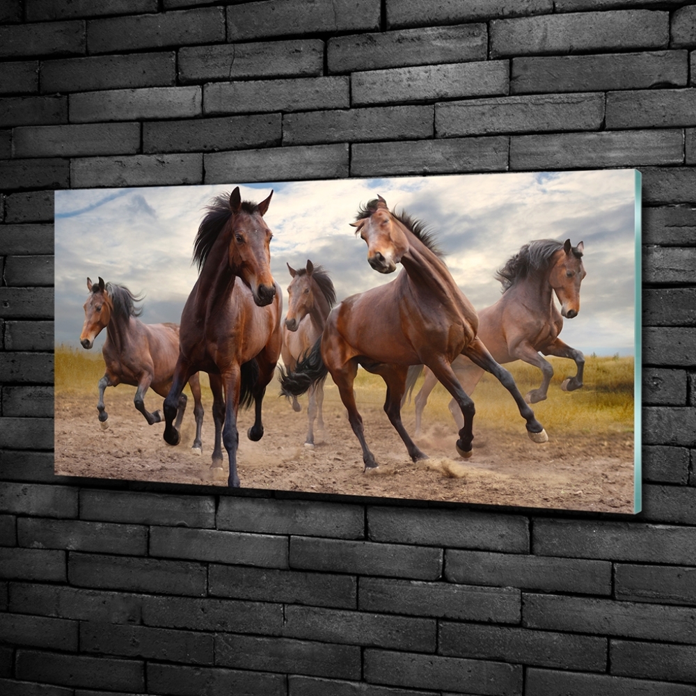 Tableau imprimé sur verre Cinq chevaux