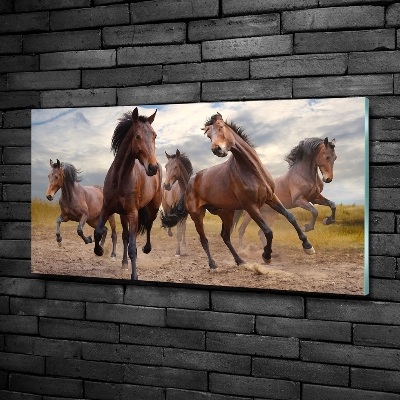 Tableau imprimé sur verre Cinq chevaux