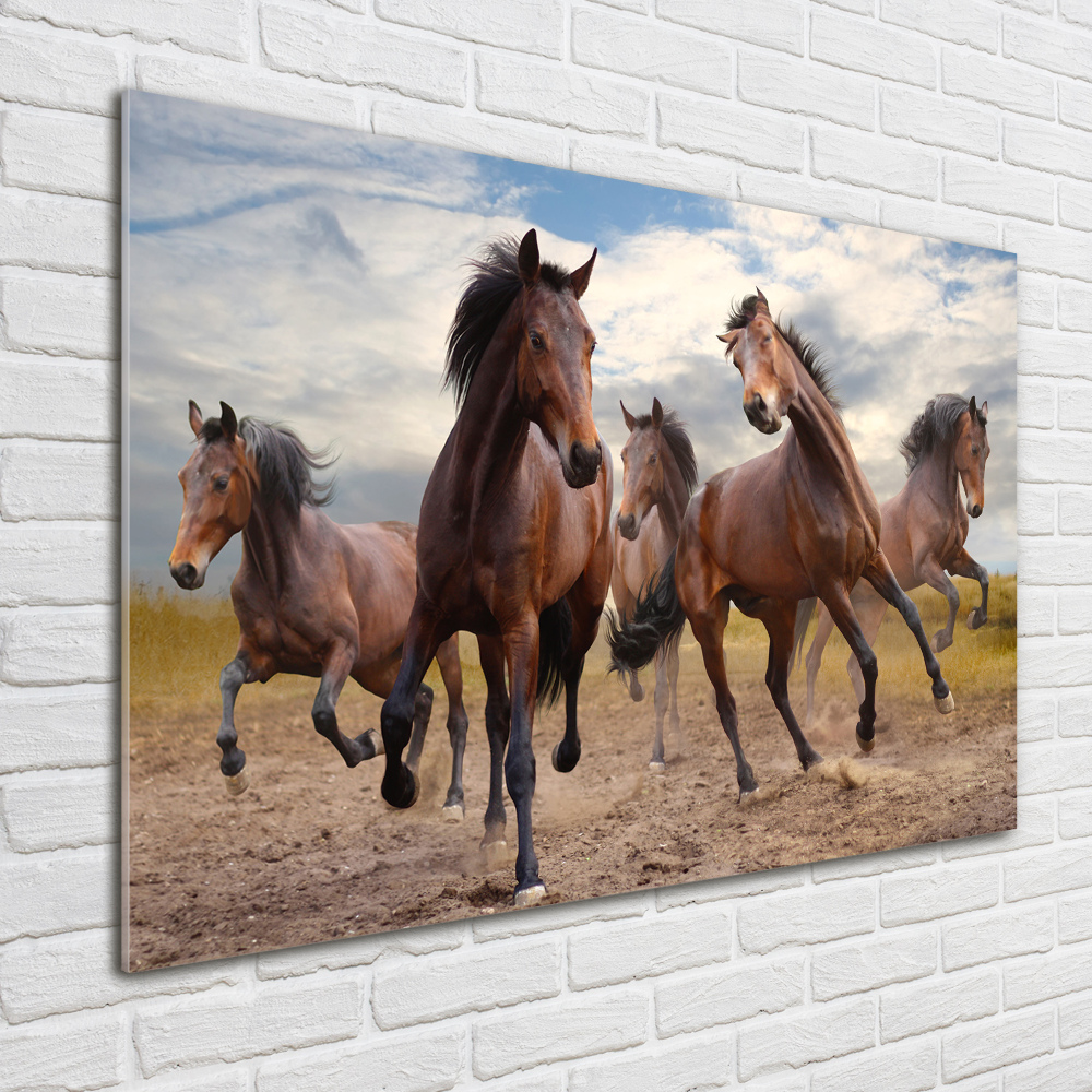 Tableau imprimé sur verre Cinq chevaux