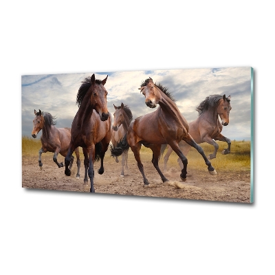 Tableau imprimé sur verre Cinq chevaux