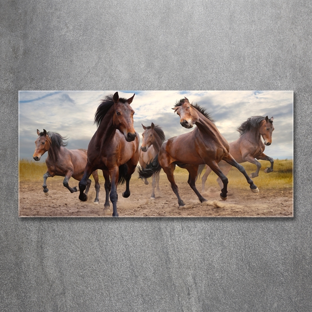 Tableau imprimé sur verre Cinq chevaux