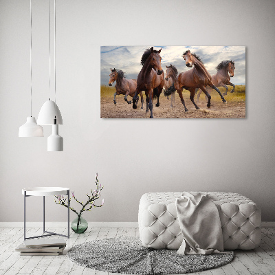 Tableau imprimé sur verre Cinq chevaux