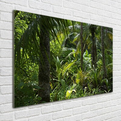 Tableau sur verre Forêt tropicale