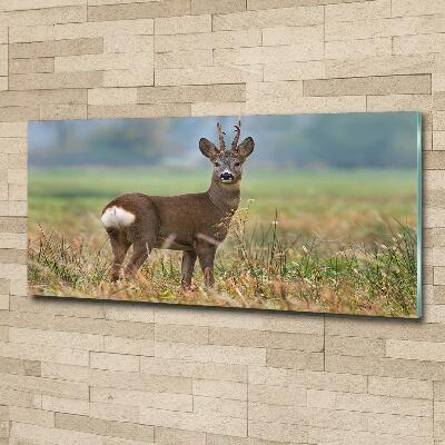 Tableau sur verre Cerf